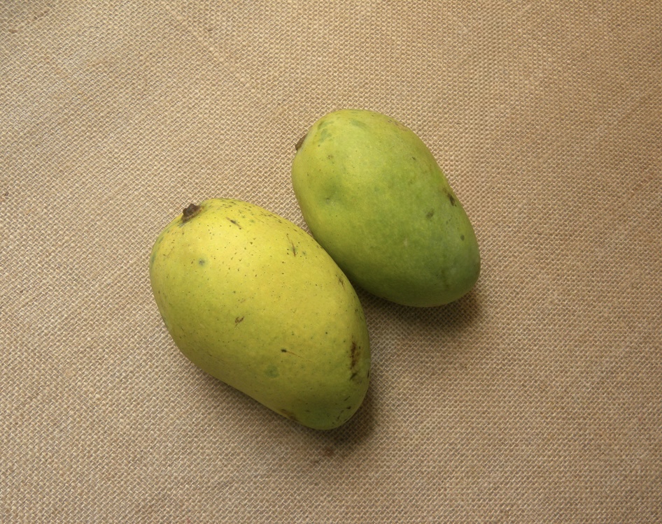 Chausa mangoes